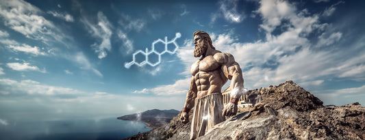 MastiGum: Zvyšuje produkciu testosterónu kvalitný zinok v masticovej živici?