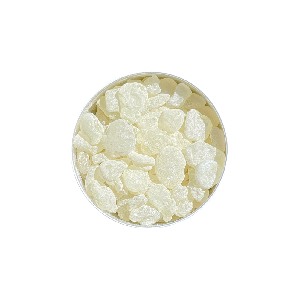 BRIKK MastiGum® - 2